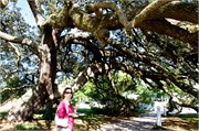 Biloxi 2428